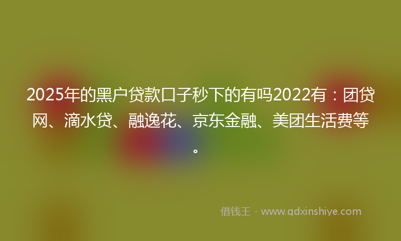 2025年的黑户贷款口子秒下的有吗2022有：团贷网、滴水贷、融逸花、京东金融、美团生活费等。