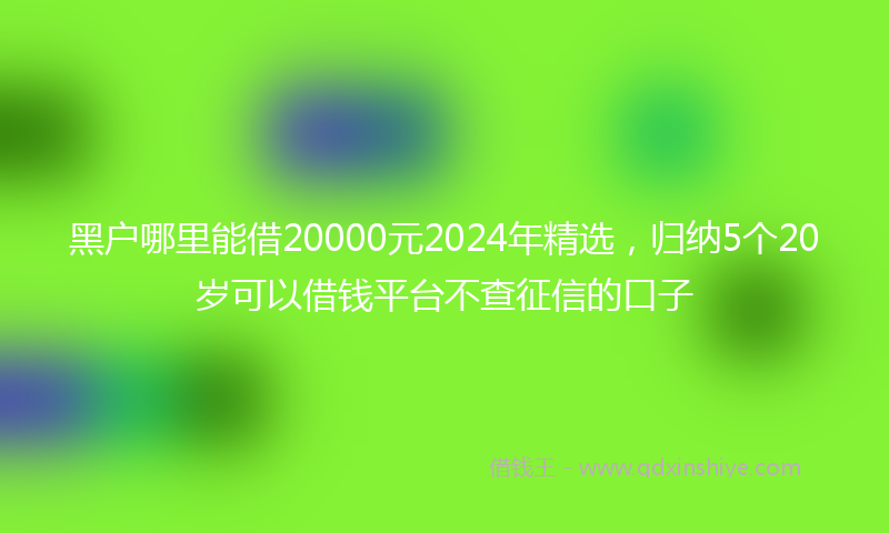 黑户哪里能借20000元2024年精选，归纳5个20岁可以借钱平台不查征信的口子