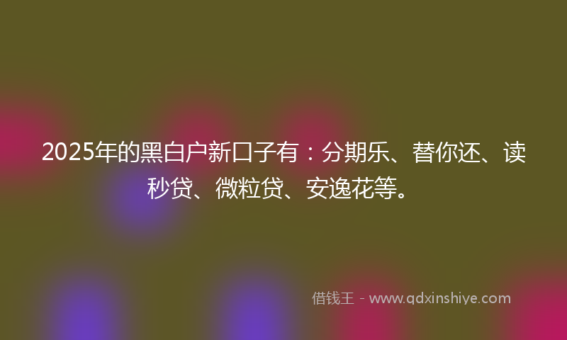 2025年的黑白户新口子有：分期乐、替你还、读秒贷、微粒贷、安逸花等。