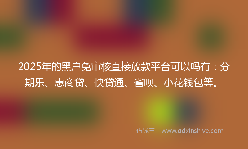 2025年的黑户免审核直接放款平台可以吗有：分期乐、惠商贷、快贷通、省呗、小花钱包等。