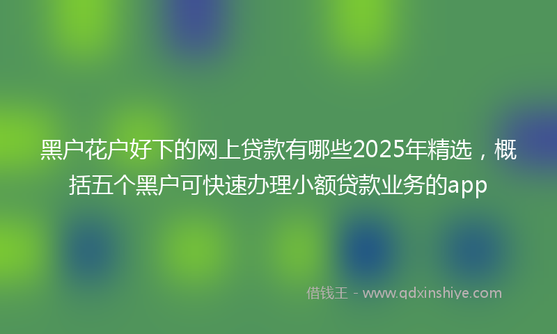 黑户花户好下的网上贷款有哪些2025年精选，概括五个黑户可快速办理小额贷款业务的app