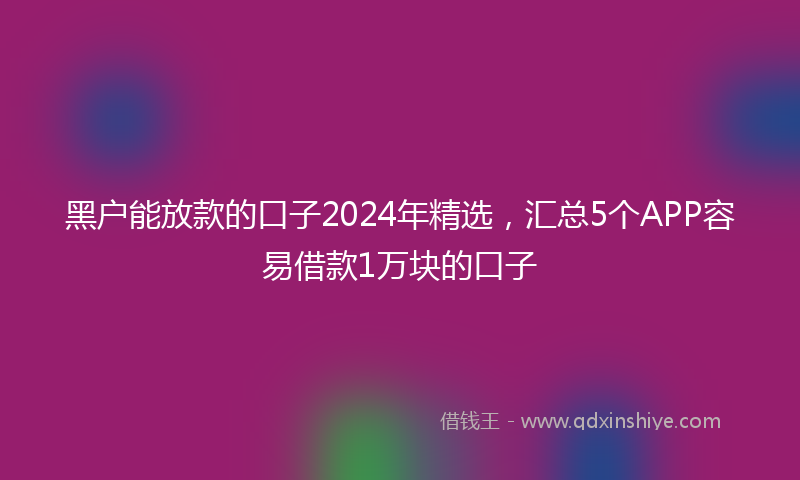 黑户能放款的口子2024年精选，汇总5个APP容易借款1万块的口子