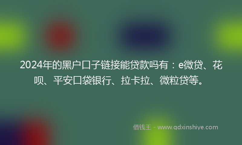 2024年的黑户口子链接能贷款吗有：e微贷、花呗、平安口袋银行、拉卡拉、微粒贷等。