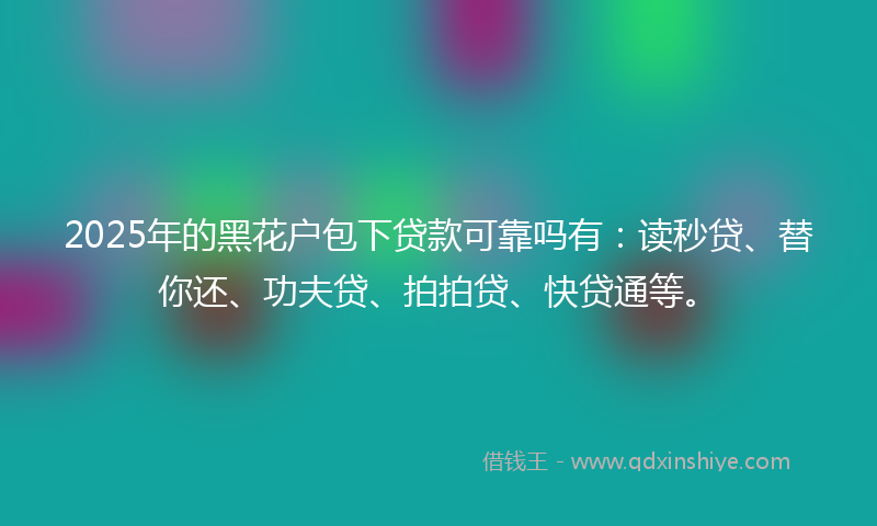 2025年的黑花户包下贷款可靠吗有：读秒贷、替你还、功夫贷、拍拍贷、快贷通等。