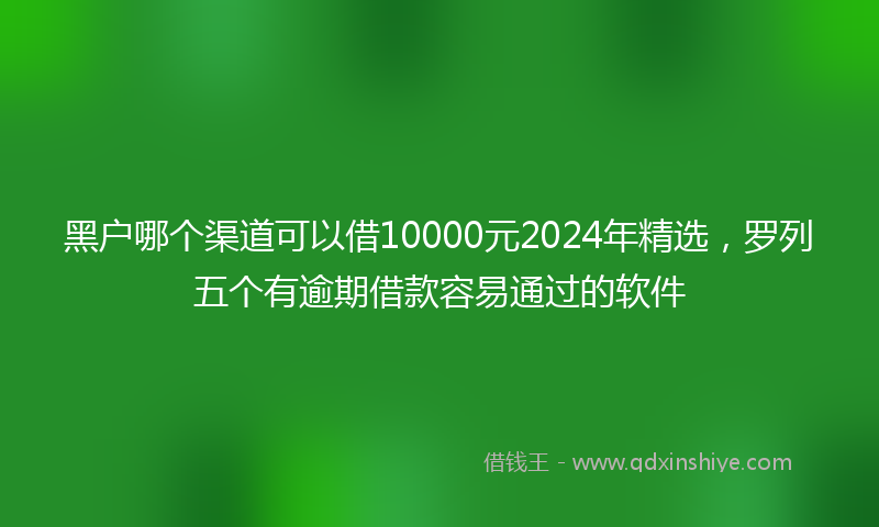 黑户哪个渠道可以借10000元2024年精选，罗列五个有逾期借款容易通过的软件