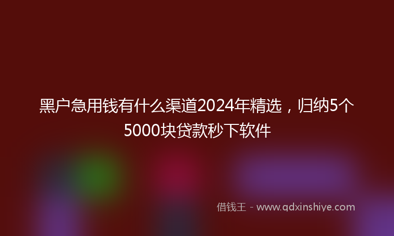 黑户急用钱有什么渠道2024年精选，归纳5个5000块贷款秒下软件