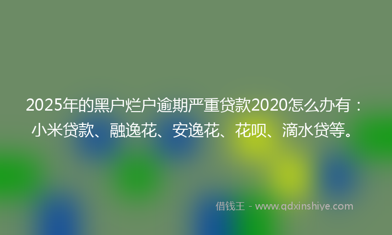 2025年的黑户烂户逾期严重贷款2020怎么办有：小米贷款、融逸花、安逸花、花呗、滴水贷等。