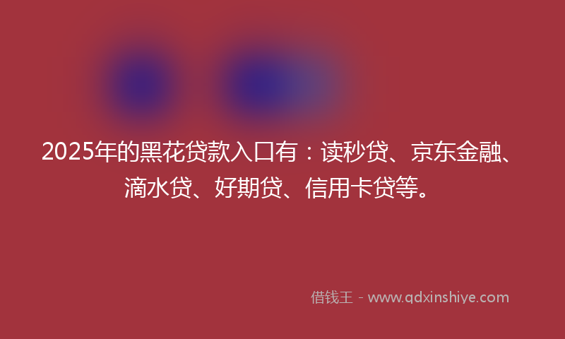 2025年的黑花贷款入口有：读秒贷、京东金融、滴水贷、好期贷、信用卡贷等。