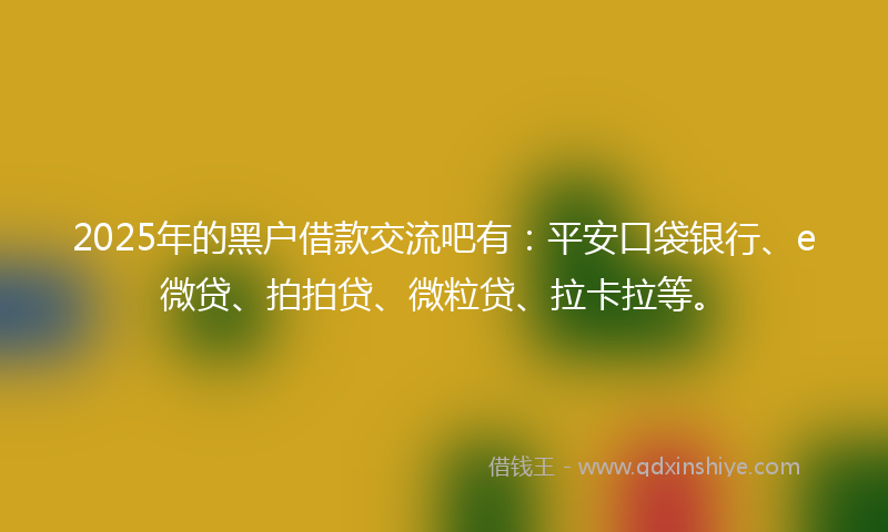 2025年的黑户借款交流吧有：平安口袋银行、e微贷、拍拍贷、微粒贷、拉卡拉等。