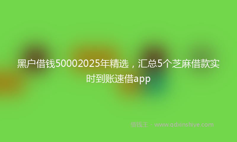 黑户借钱50002025年精选，汇总5个芝麻借款实时到账速借app