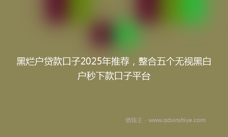 黑烂户贷款口子2025年推荐，整合五个无视黑白户秒下款口子平台