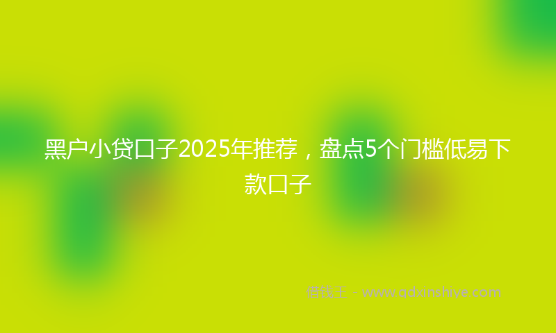 黑户小贷口子2025年推荐，盘点5个门槛低易下款口子