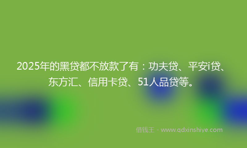 2025年的黑贷都不放款了有：功夫贷、平安i贷、东方汇、信用卡贷、51人品贷等。