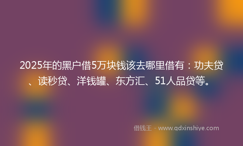 2025年的黑户借5万块钱该去哪里借有：功夫贷、读秒贷、洋钱罐、东方汇、51人品贷等。