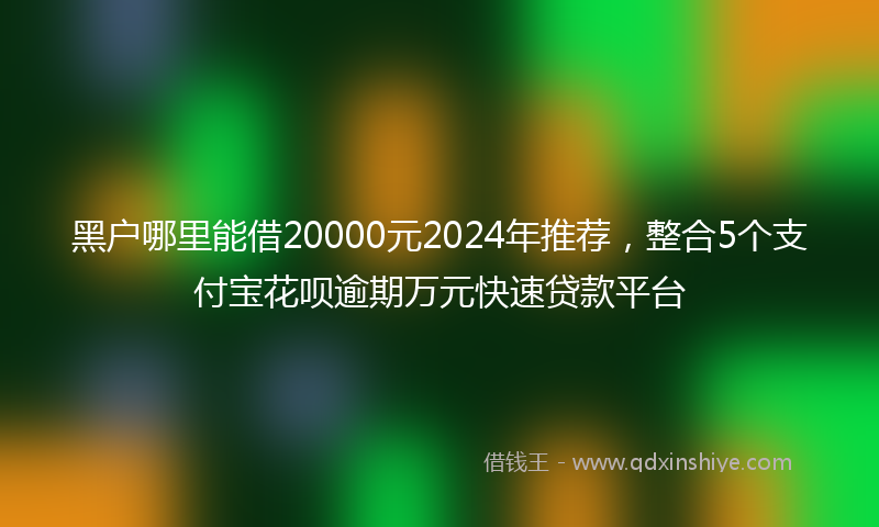 黑户哪里能借20000元2024年推荐，整合5个支付宝花呗逾期万元快速贷款平台