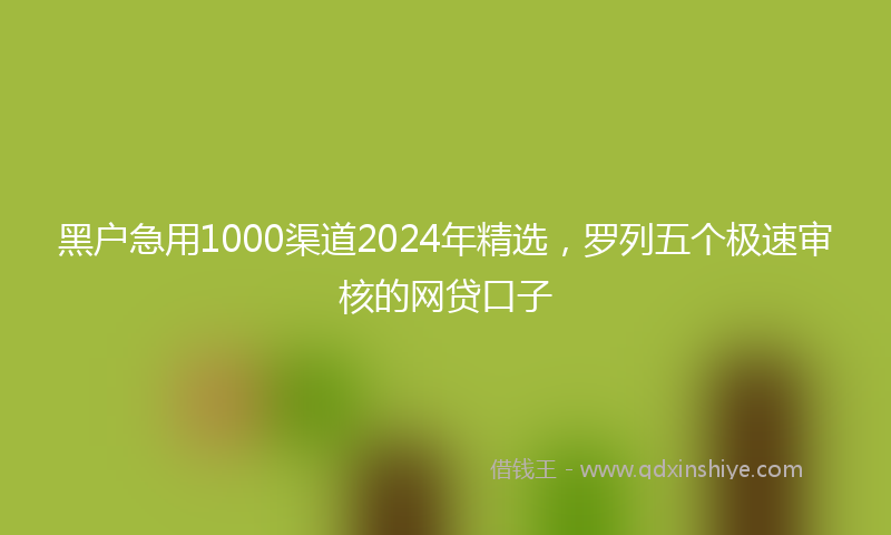 黑户急用1000渠道2024年精选，罗列五个极速审核的网贷口子