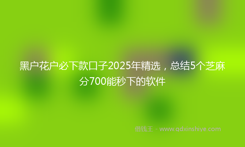 黑户花户必下款口子2025年精选，总结5个芝麻分700能秒下的软件