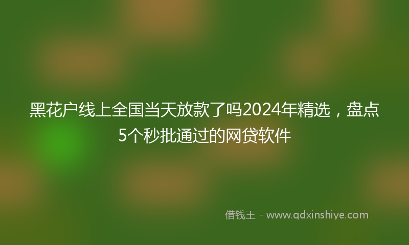 黑花户线上全国当天放款了吗2024年精选，盘点5个秒批通过的网贷软件