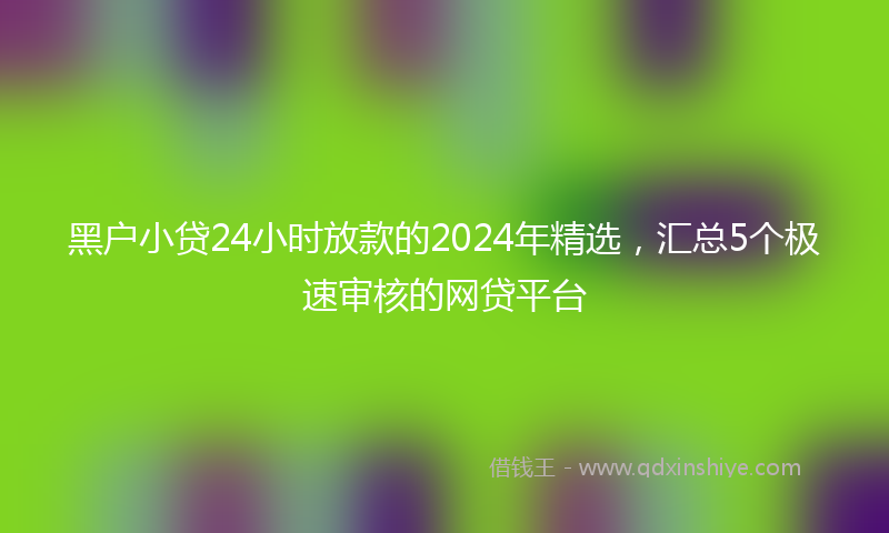 黑户小贷24小时放款的2024年精选，汇总5个极速审核的网贷平台