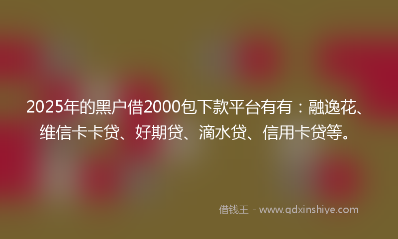 2025年的黑户借2000包下款平台有有：融逸花、维信卡卡贷、好期贷、滴水贷、信用卡贷等。