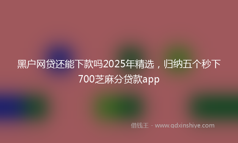 黑户网贷还能下款吗2025年精选，归纳五个秒下700芝麻分贷款app