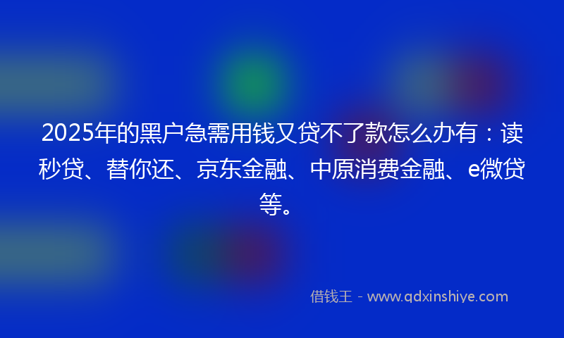 2025年的黑户急需用钱又贷不了款怎么办有：读秒贷、替你还、京东金融、中原消费金融、e微贷等。