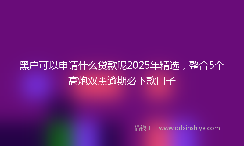 黑户可以申请什么贷款呢2025年精选，整合5个高炮双黑逾期必下款口子