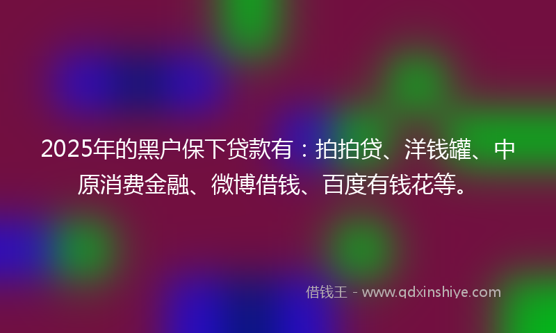 2025年的黑户保下贷款有：拍拍贷、洋钱罐、中原消费金融、微博借钱、百度有钱花等。