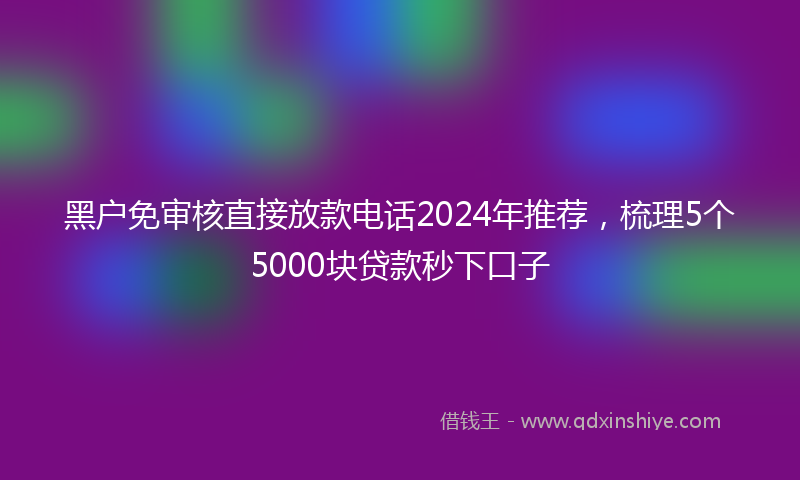 黑户免审核直接放款电话2024年推荐，梳理5个5000块贷款秒下口子