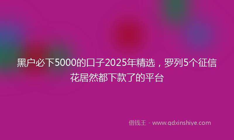 黑户必下5000的口子2025年精选，罗列5个征信花居然都下款了的平台