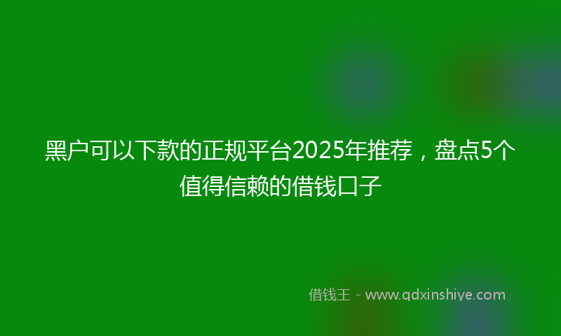 黑户可以下款的正规平台2025年推荐，盘点5个值得信赖的借钱口子