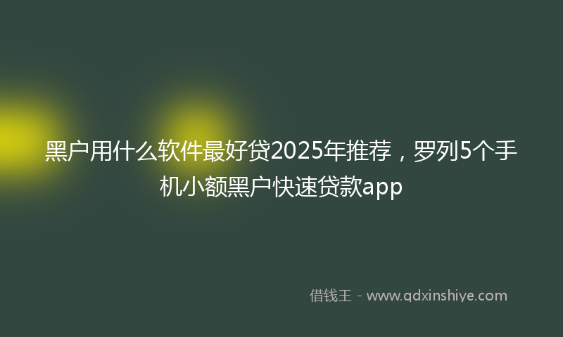 黑户用什么软件最好贷2025年推荐，罗列5个手机小额黑户快速贷款app
