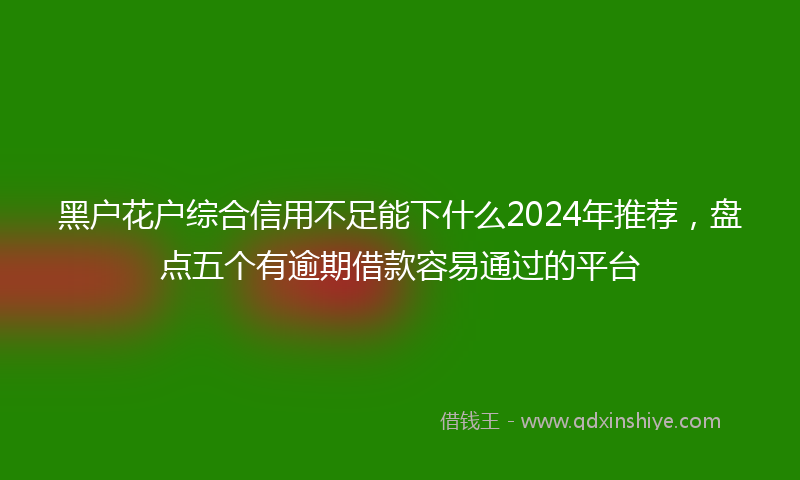 黑户花户综合信用不足能下什么2024年推荐，盘点五个有逾期借款容易通过的平台