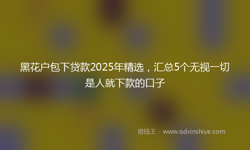 黑花户包下贷款2025年精选，汇总5个无视一切是人就下款的口子