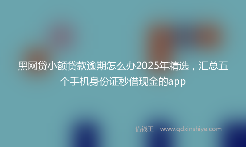 黑网贷小额贷款逾期怎么办2025年精选，汇总五个手机身份证秒借现金的app