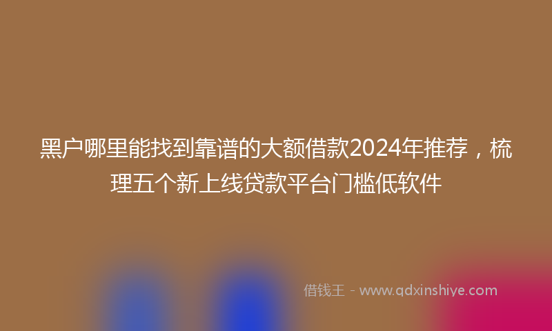 黑户哪里能找到靠谱的大额借款2024年推荐，梳理五个新上线贷款平台门槛低软件