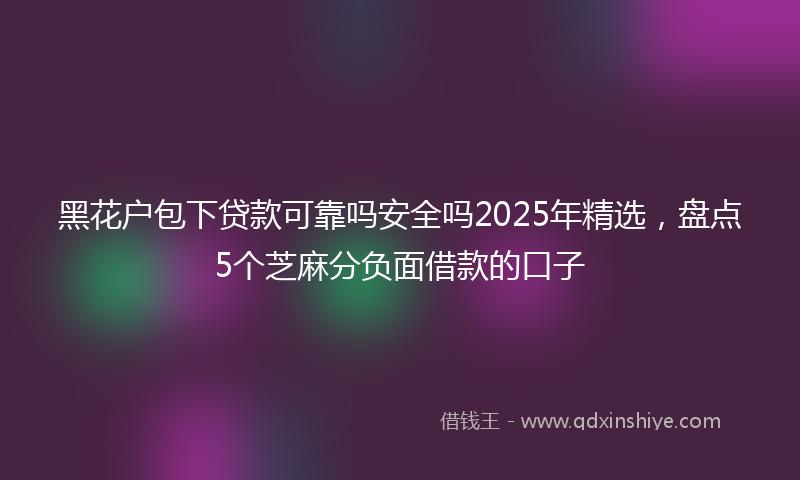 黑花户包下贷款可靠吗安全吗2025年精选，盘点5个芝麻分负面借款的口子