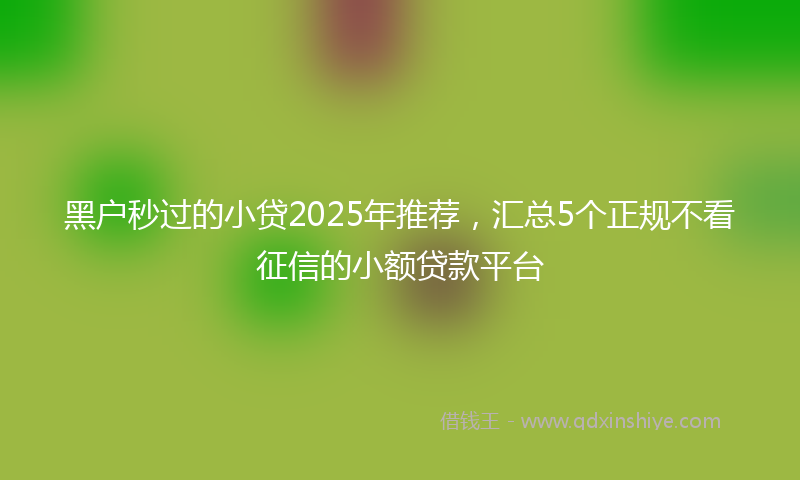 黑户秒过的小贷2025年推荐，汇总5个正规不看征信的小额贷款平台