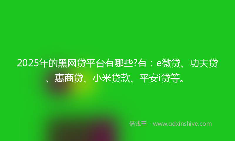 2025年的黑网贷平台有哪些?有：e微贷、功夫贷、惠商贷、小米贷款、平安i贷等。