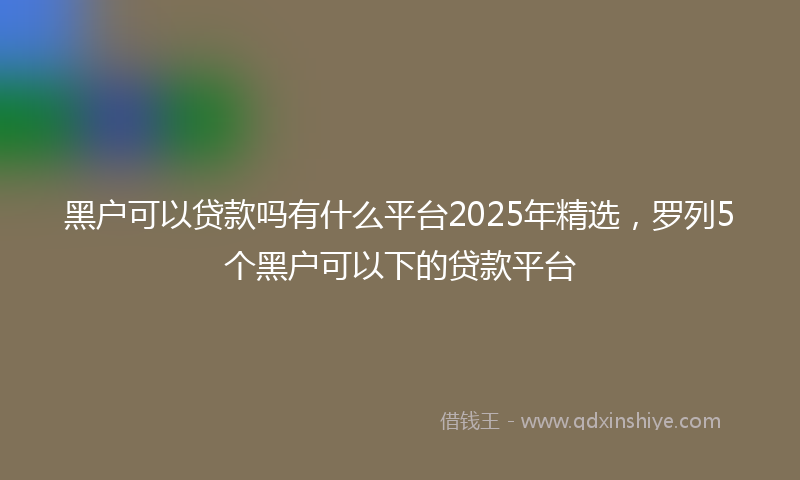 黑户可以贷款吗有什么平台2025年精选，罗列5个黑户可以下的贷款平台