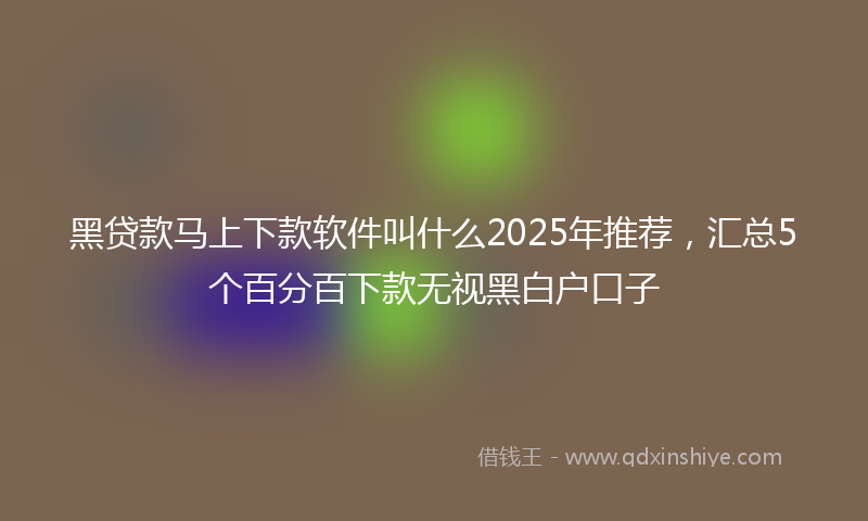 黑贷款马上下款软件叫什么2025年推荐，汇总5个百分百下款无视黑白户口子