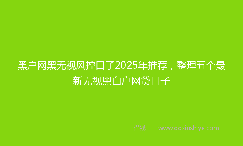 黑户网黑无视风控口子2025年推荐，整理五个最新无视黑白户网贷口子