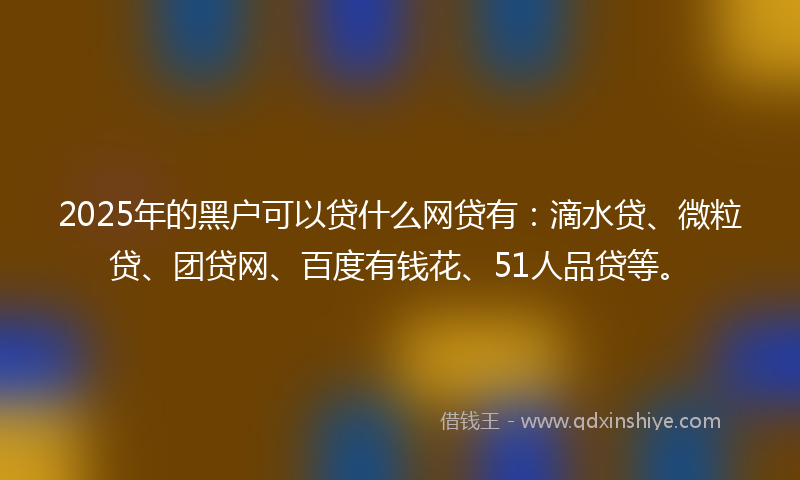 2025年的黑户可以贷什么网贷有：滴水贷、微粒贷、团贷网、百度有钱花、51人品贷等。