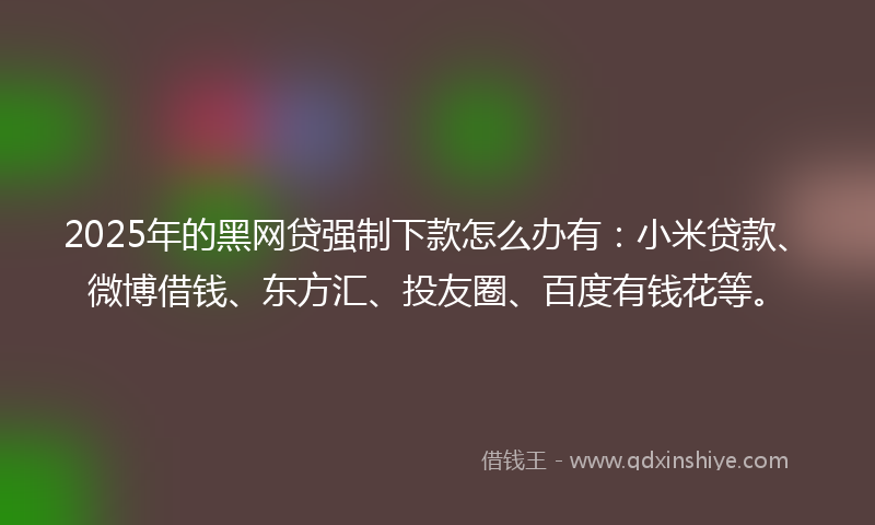 2025年的黑网贷强制下款怎么办有：小米贷款、微博借钱、东方汇、投友圈、百度有钱花等。