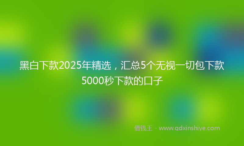 黑白下款2025年精选，汇总5个无视一切包下款5000秒下款的口子