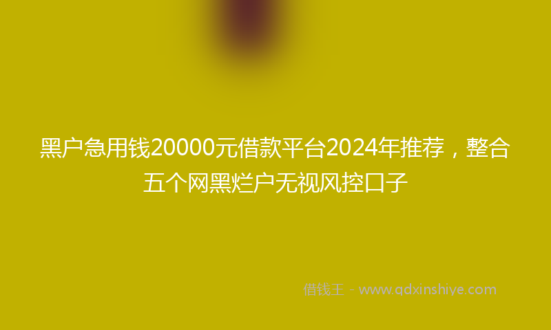 黑户急用钱20000元借款平台2024年推荐,整合五个网黑烂户无视风控口子