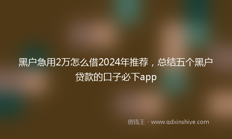 黑户急用2万怎么借2024年推荐，总结五个黑户贷款的口子必下app