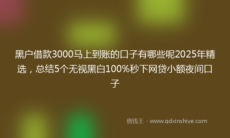 黑户借款3000马上到账的口子有哪些呢2025年精选，总结5个无视黑白100%秒下网贷小额夜间口子