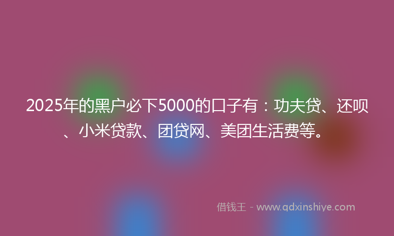 2025年的黑户必下5000的口子有：功夫贷、还呗、小米贷款、团贷网、美团生活费等。