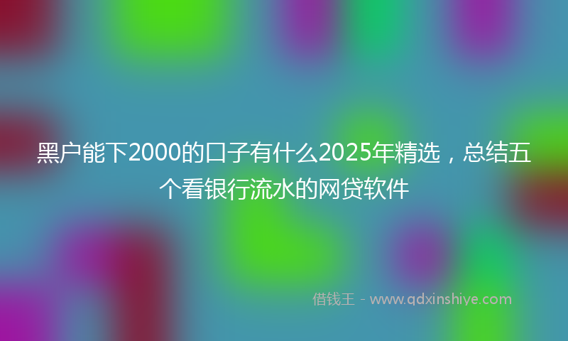 黑户能下2000的口子有什么2025年精选，总结五个看银行流水的网贷软件